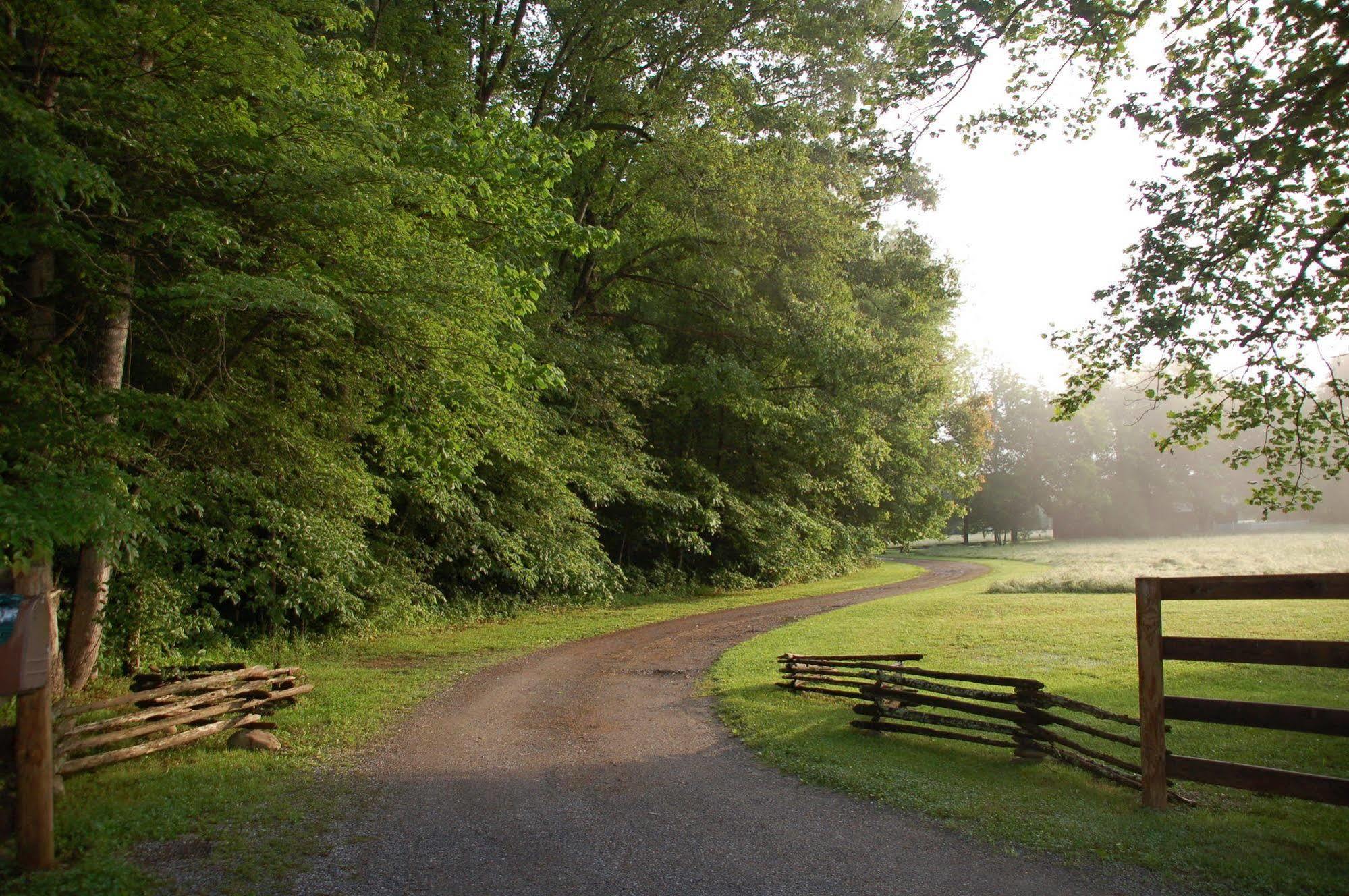 Creekwalk Inn And Cabins Cosby Luaran gambar